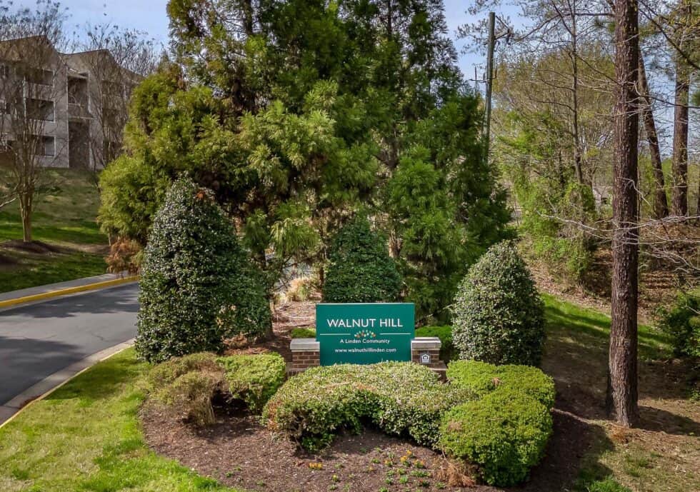 Residents Affordable Apartment Rental Petersburg Walnut Hill